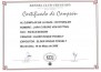 Certificado Campeão Urugauaio