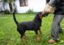 Polly Fart Wa Von Rottssel - Polly Fart - 21 meses