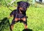 CINDY 8 MESES 